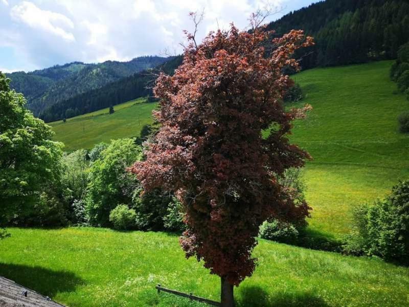 Haus Elsasser Sankt Johann am Tauern Luaran gambar